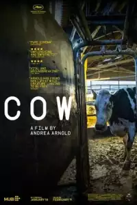 LK21 Nonton Cow (2022) Film Subtitle Indonesia Streaming Movie Download Gratis Online