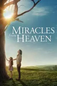 Miracles from Heaven (2016)